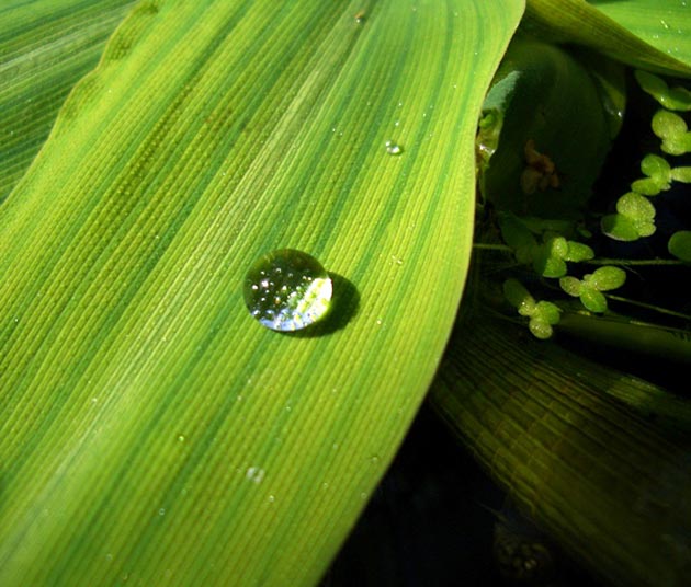 Anne Sofie Hovde Eriksson