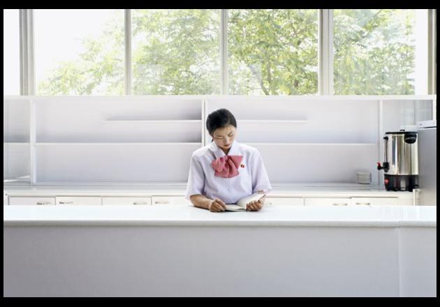Air Koryo flight attendant, Pyongyang from the series DPRK 2005