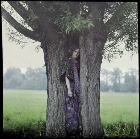 The dryad