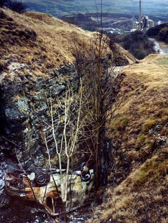 Heritage at risk 2008: Pindale side vein