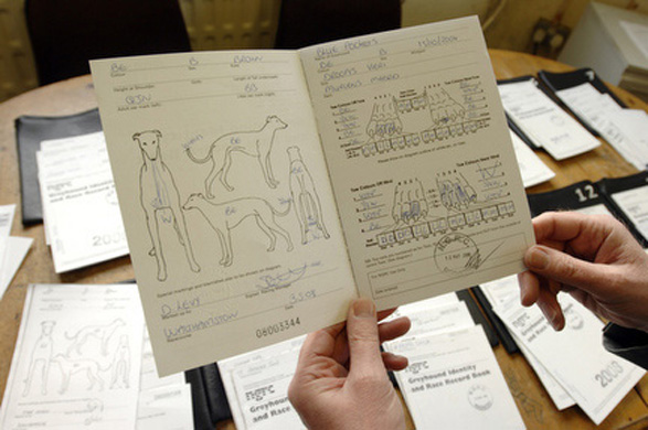 Walthamstow Dogs Stadium