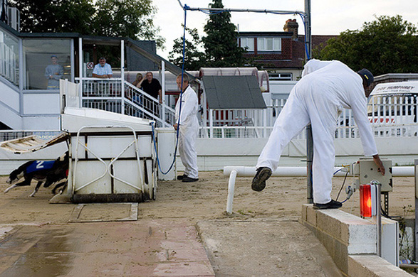 Walthamstow Dogs Stadium