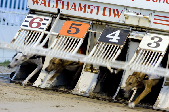 Walthamstow Dogs Stadium