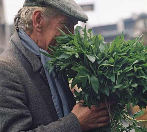 Clive Boursnell's Covent Garden photos