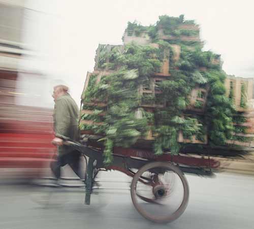 Clive Boursnell's Covent Garden photos