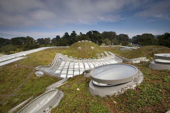 Renzo Piano California Academy of Sciences