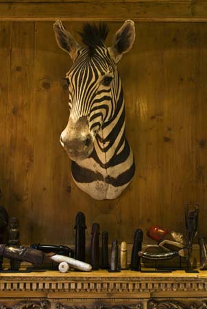 Roland Emmerich's  stuffed zebra