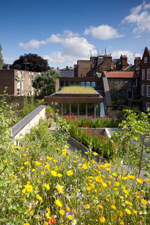 Studio / house, Islington, part of the Green Sky Thinking event, by bere: architects