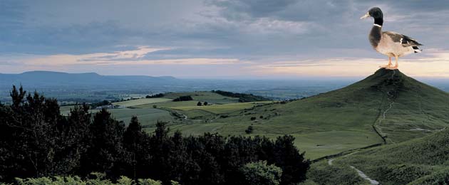 Ebbsfleet Landmark: The Duck of Hope