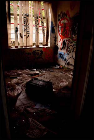 Natural Light from the Window