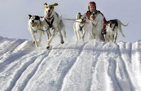 Musher Oliver Kurpas and his sled team of eight Alaskan huskies