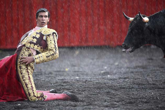 Bullfighter