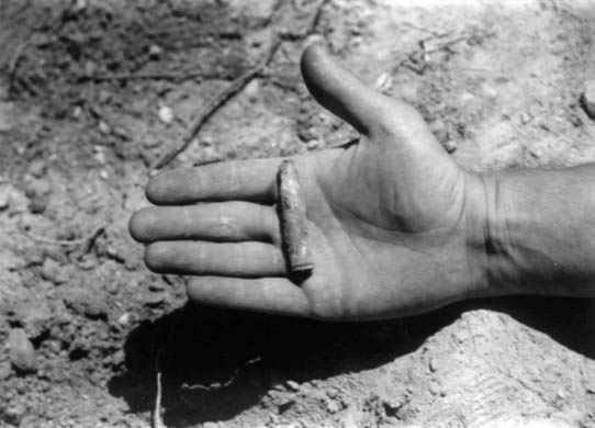 Dark Is the Room Where We Sleep, 2007