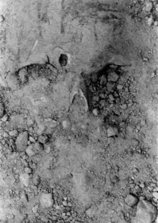 Dark Is the Room Where We Sleep, 2007