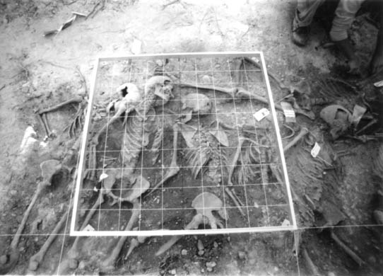 Dark Is the Room Where We Sleep, 2007