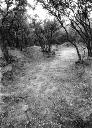 Dark Is the Room Where We Sleep, 2007