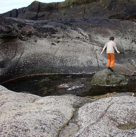 Dalziel + Scullion Source, 2007