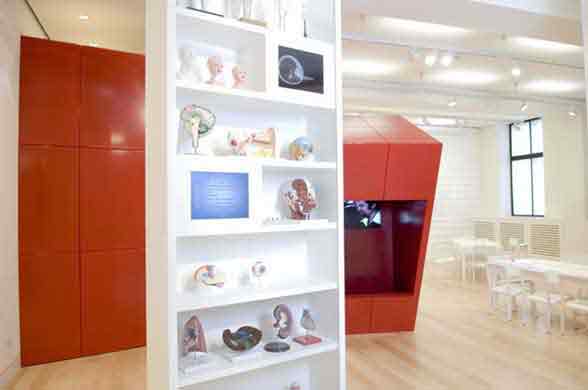  Wellcome Collection. Medicine Now gallery