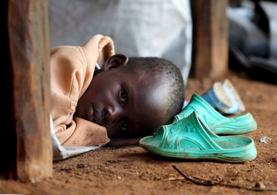 24 hours in pictures: 13/2/08