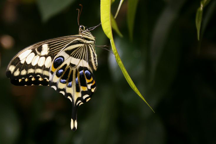 24 hours in pictures 14/2/08