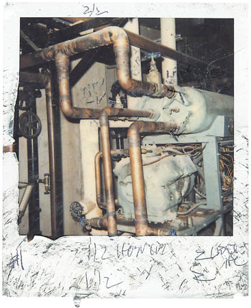 Found by Presley Martin