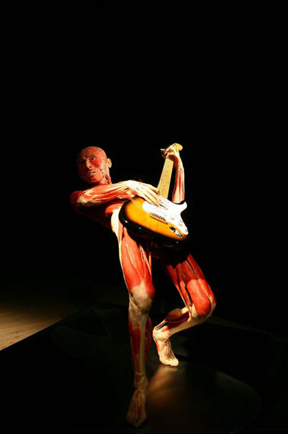 Body Worlds 4