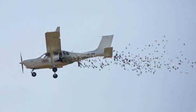 Money thrown out of an airplane