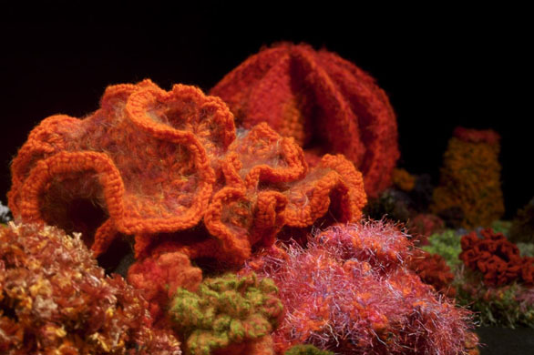 The Hyperbolic Coral Reef