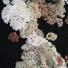 The Hyperbolic Coral Reef