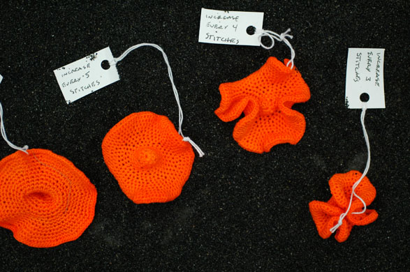 The Hyperbolic Coral Reef