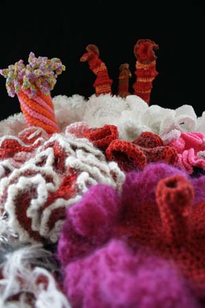 The Hyperbolic Coral Reef