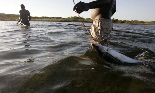 Fisherman: Kosi Bay, South Africa