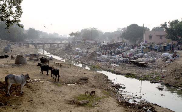 A day in the life of a Delhi waste picker