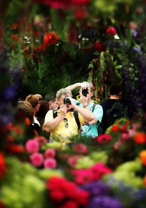 Chelsea flower show