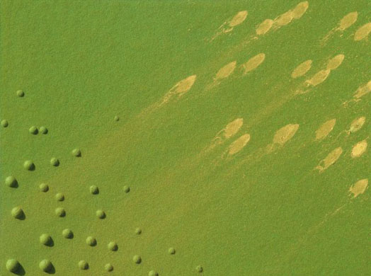 Art by Martina Navratilova