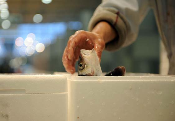 Fish market in France