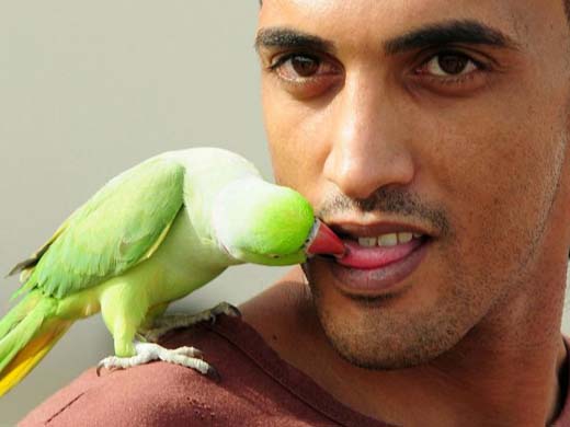 Man feeding his bird