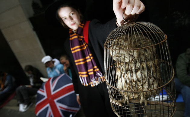 Queueing for Harry Potter