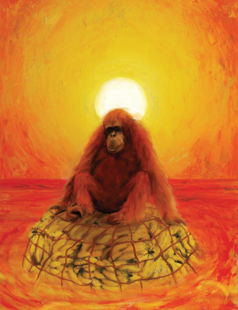 The Illustrated Life of Pi