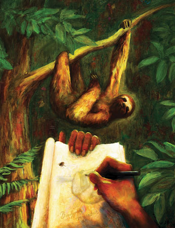 The Illustrated Life of Pi