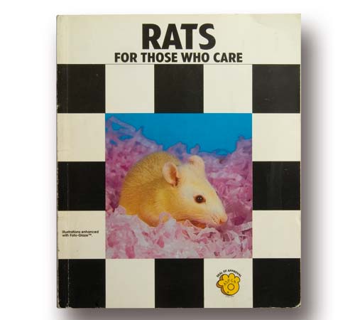 Rats for Those Who Care 
