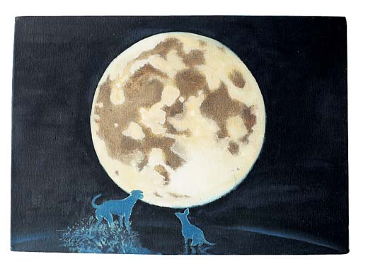 Pieces of me Meg Rosoff