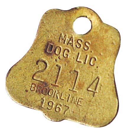 Pieces of me Meg Rosoff