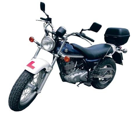 Frieda Hughes pieces of me