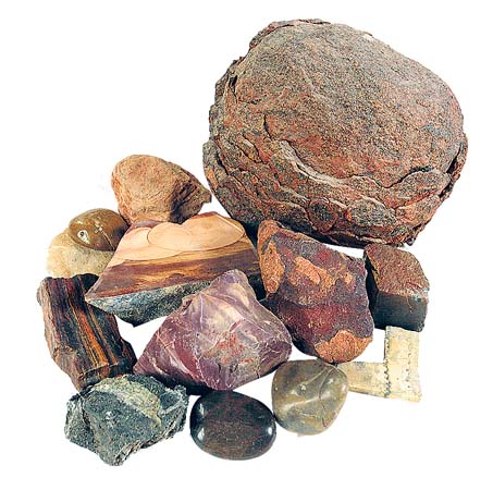 Frieda Hughes pieces of me