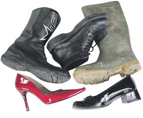 Frieda Hughes pieces of me