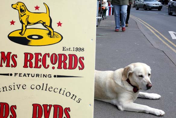 Hay festival: market day