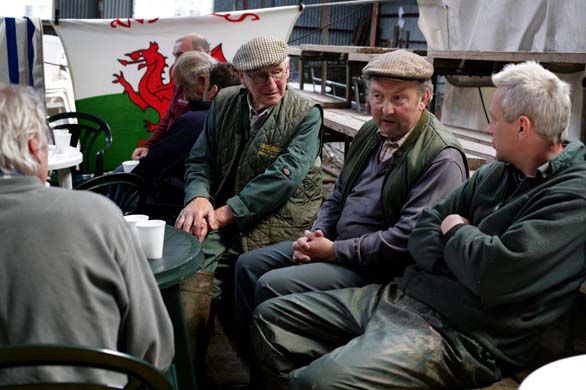 Hay festival: market day