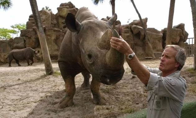 Animal expert Jack Hanna at Busch Gardens in Florida