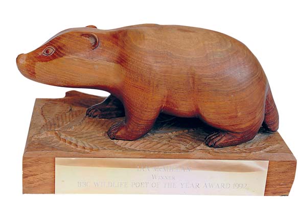 Ian McMillan pieces of me